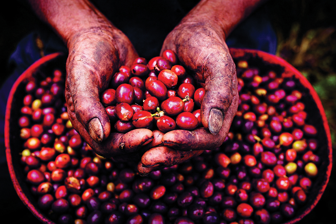 Nestlé enhances efforts to combat climate change