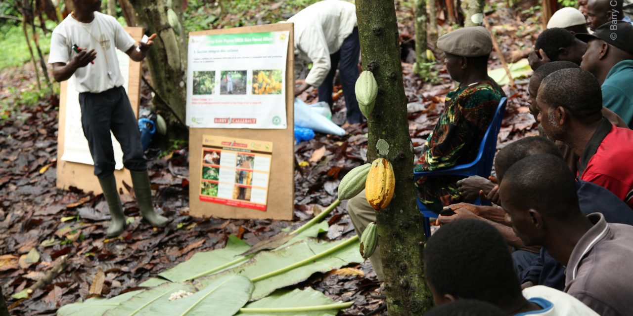 Barry Callebaut’s climate change efforts recognised