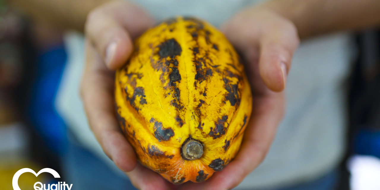 Ferrero sets out Cocoa Charter and Action Plan