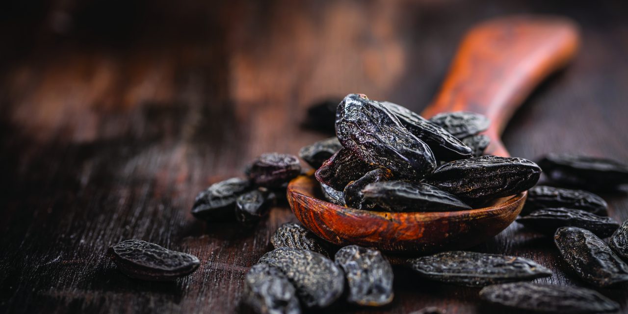 Plant-Ex Ingredients launch New for ’22 portfolio