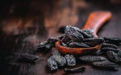 Plant-Ex Ingredients launch New for ’22 portfolio