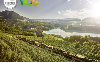 VOG Products receive silver medal from EcoVadis