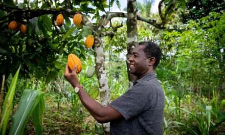ofi drives climate action in global cocoa supply chain
