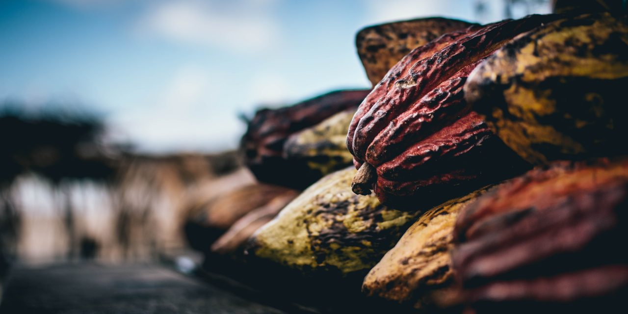 Consumer support for Fairtrade remains strong