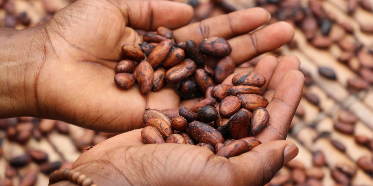 Cargill deploys zero-emission transport for cocoa beans