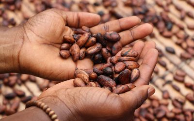 Under Pressure: Unpacking sugar and cocoa challenges
