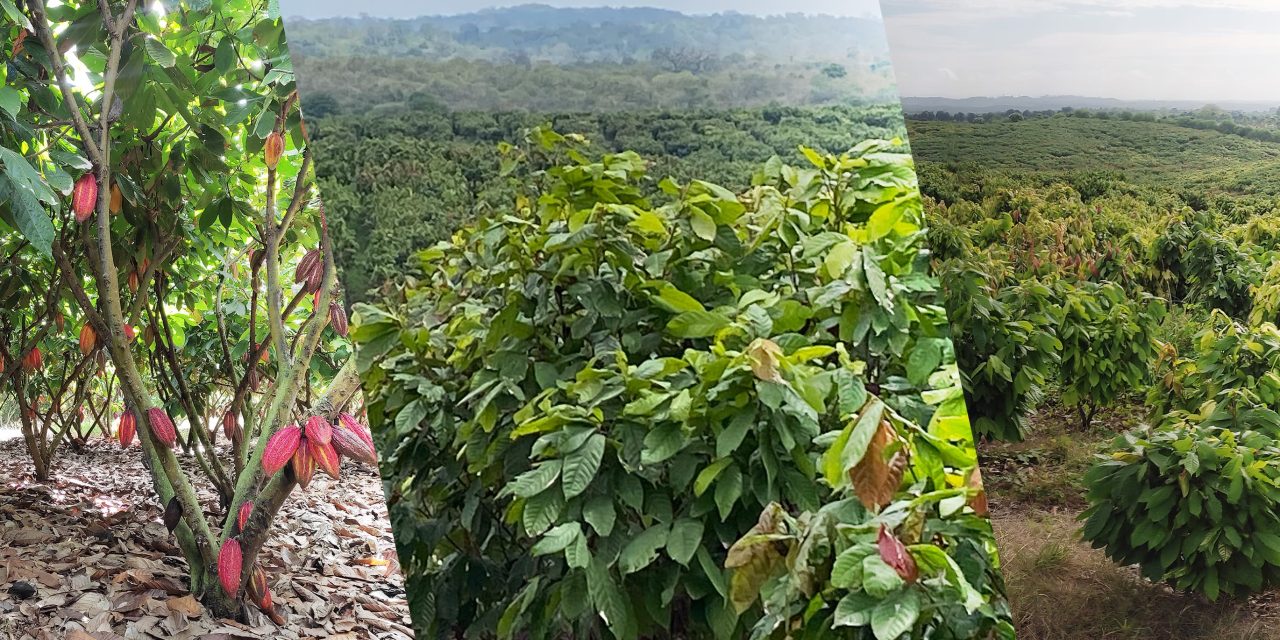 Barry Callebaut launches Future Farming Initiative