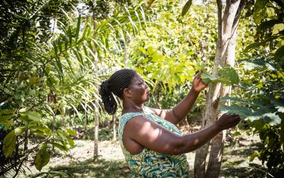 Fairtrade Foundation marks 30 Year Anniversary with an urgent call for action