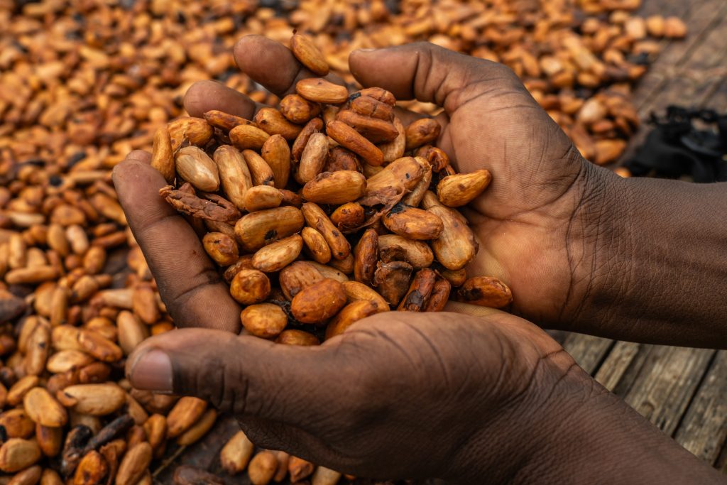 DSC05713 Seattle Chocolate empowers women in Ghana's cocoa communities