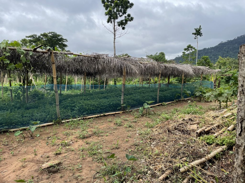 IMG 2302 Seattle Chocolate empowers women in Ghana's cocoa communities