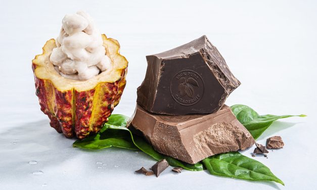 Callebaut reports Q1 sales amid cocoa price surge