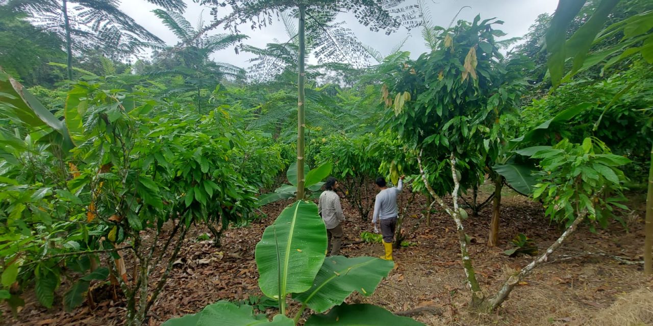 GIZ, ofi and Rikolto expand low carbon agriculture in Ecuador