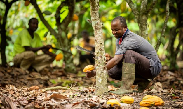 Cocoa leaders unite to embrace innovation at WCF Partnership Meeting
