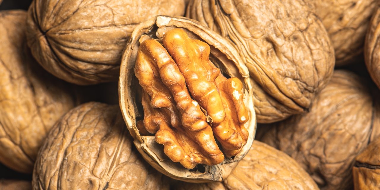 California walnut industry anticipates strong 2025 crop