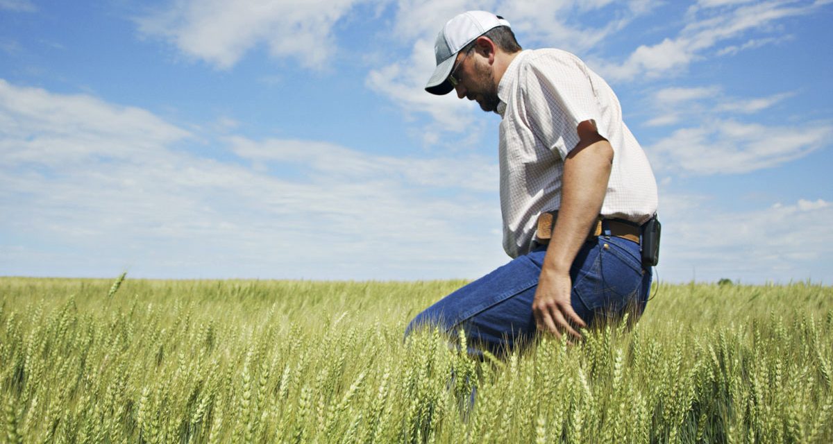 PepsiCo, Mars, and ADM partner to advance regenerative agriculture