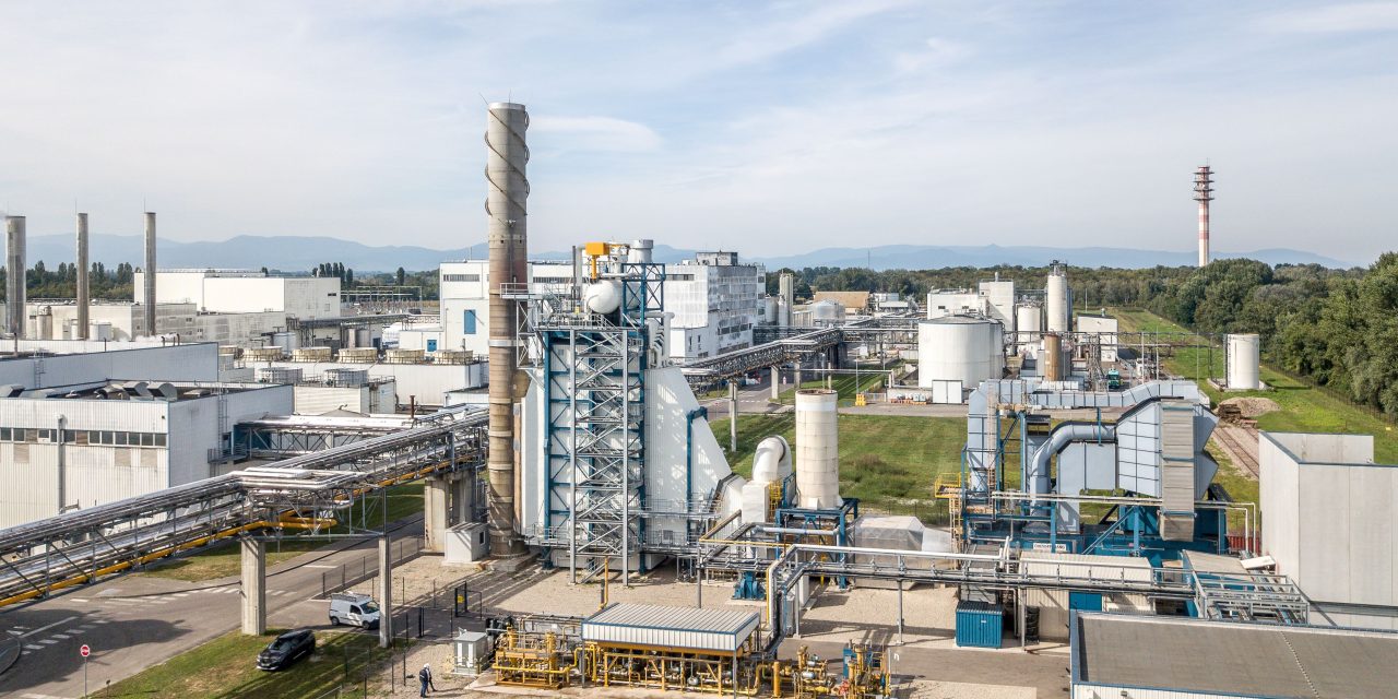 Tereos launches new corn-based fibre, Actifiber®