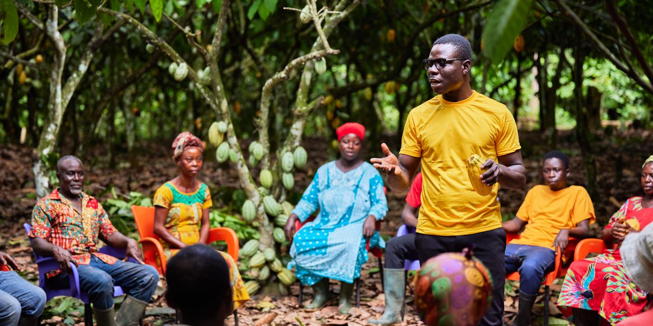 ofi reaches cocoa greenhouse gas reduction milestone