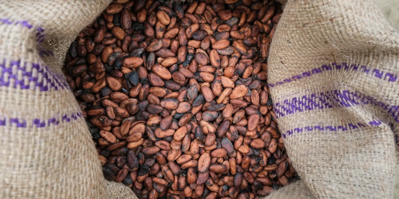 Lindt & Sprüngli now sources 100% of its cocoa as Rainforest Alliance Certified