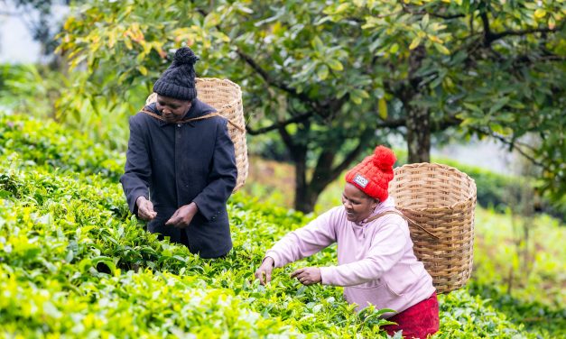 Fairtrade calls for new PM to clean up the UK’s supply chains